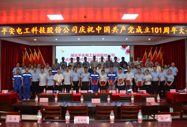踐行宗旨 牢記使命 奮力開創(chuàng)平安電工新時代黨建工作新局面